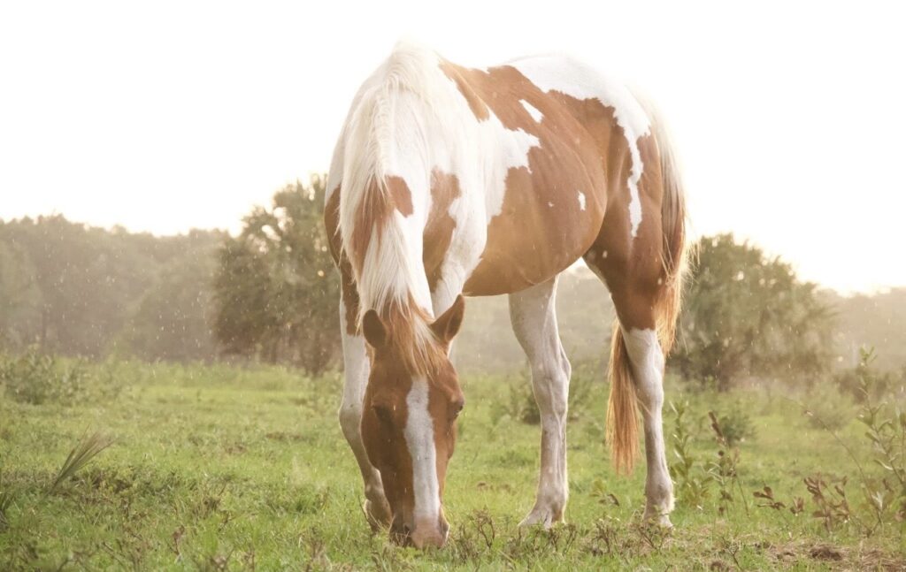 Corporate Team Building Leadership Activities Florida